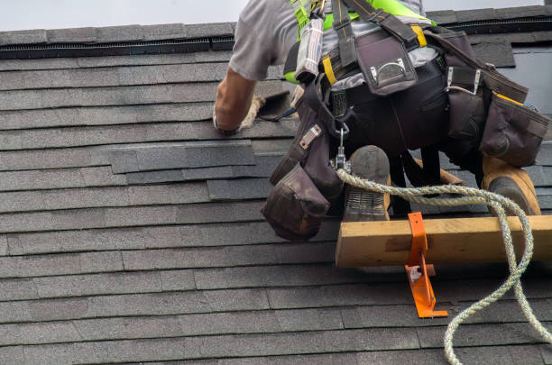Roof Gutter Cleaning in Red Bud, IL
