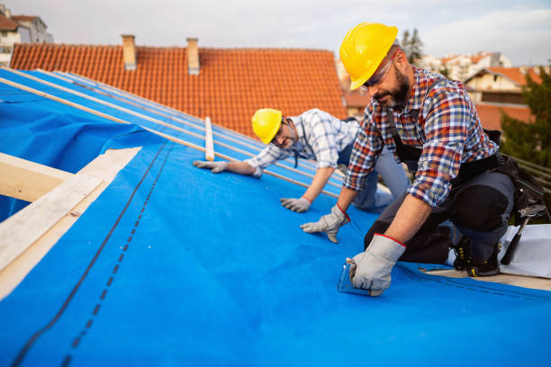 Best Metal Roofing Contractor  in Red Bud, IL